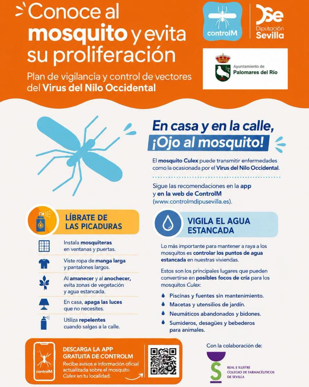 Palomares del Río recuerda las medidas de prevención frente al Virus del Nilo Occidental