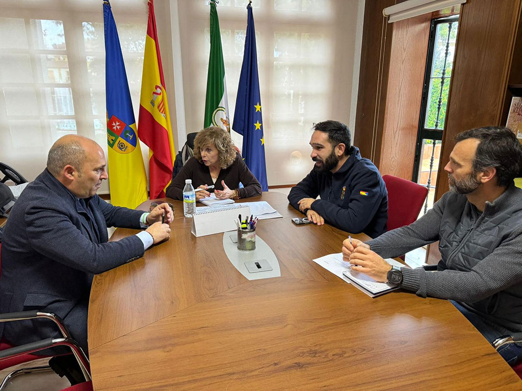 San Juan estudia la implantación de un microbús municipal para mejorar la comunicación entre sus barriadas